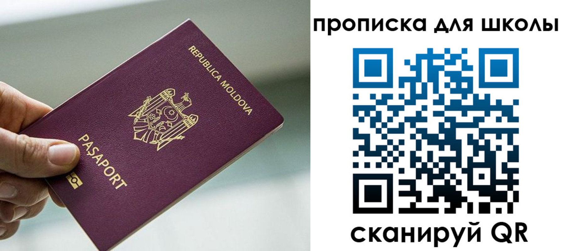 прописка в квартире в Кингисеппе