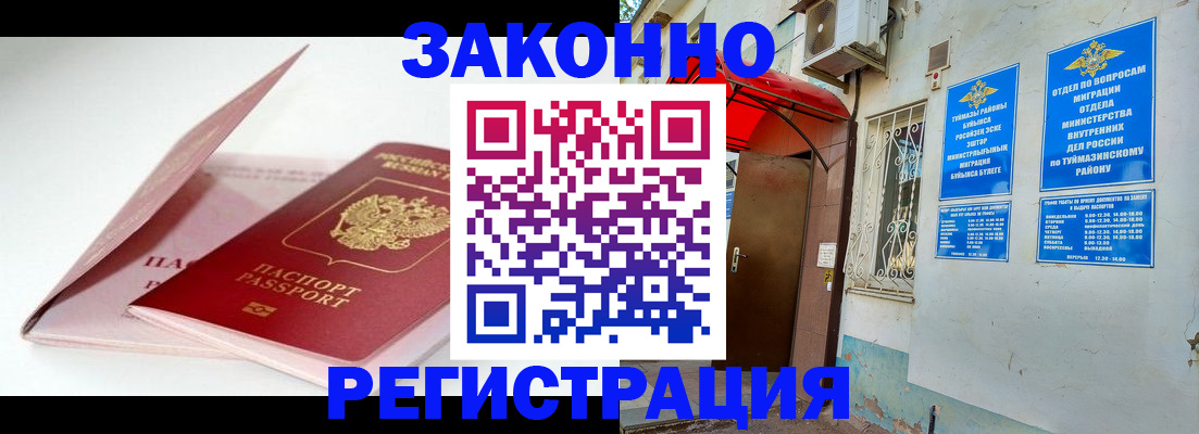 прописка гарантия в Кингисеппе